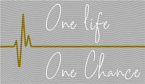 latest edition-KNY 1211